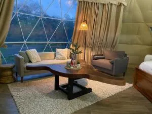 Natural Domos Perezoso 1 - Toro Amarillo