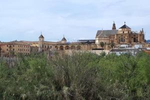 El Encanto de Miraflores