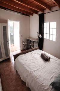 Medano Beach Coliving