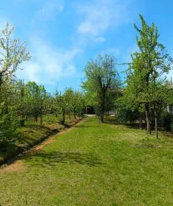 Family Hotel Leila - Chala