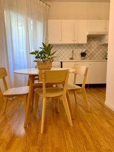 City Apartment Acqui Terme