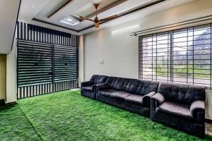 Super Collection O Olive