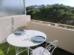 Studio Antibes Piscine Wifi