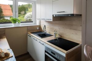 Apartament Castle & Lake Niedzica zarezerwuj na podhalami pl