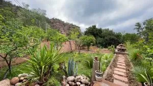 Riad Ourika Secret Garden - Asguine