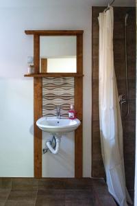 Domaćinstvo Radisavljevic