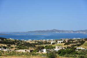 Stunning new villa with great pool area, magnificent panoramic sea view - Paros