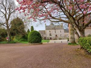 B&B / Chambres d'hotes Manoir de la Foulerie : photos des chambres