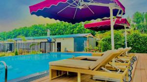 Vintclub Resort