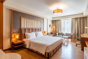 Radisson Blu Hotel, Indore