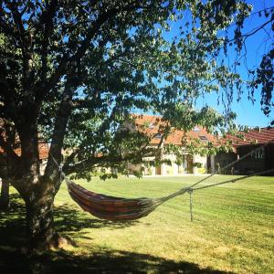 Le Clos n°5