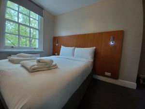 Standard Studio room in B&B Belgravia