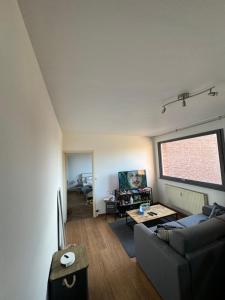 Appartements Rijsel Vlamse : Appartement 1 Chambre