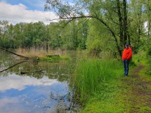Helene Hohenems, 4-12 P, Haus, 4 Schlafzimmer, Küche, Parkplatz, Garten, Wifi