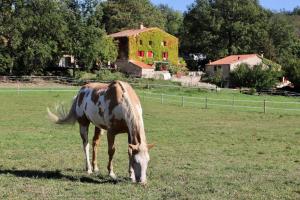 Hotels Mas Lo Faix : photos des chambres
