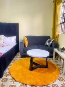 Comfort studio apartment - Enaboishu