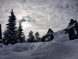 Studio apartmani View