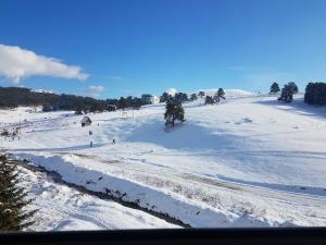 Studio apartmani View