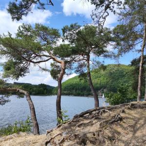 Top Ferienwohnung am Diemelsee Sauerland