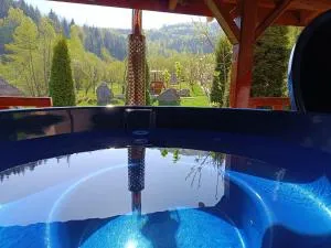 Pensiunea Alessia - Вулкан