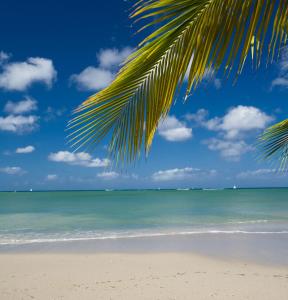 Bonaire Estate Marisule, Gros Islet, Saint Lucia, West Indies.