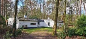 Knabbel en Babbel - 洛赫姆