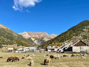 Appartements Gite montagne 1 a 25 places Chalet Coste Belle : photos des chambres
