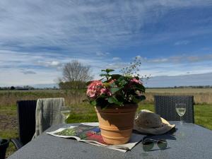 Hotelhuisjes Medemblik