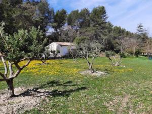 Appartements Studios independants dans grand Domaine en pleine nature : photos des chambres