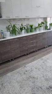 Elsar guesthouse - Osch