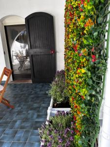 Villa La Caletta img34