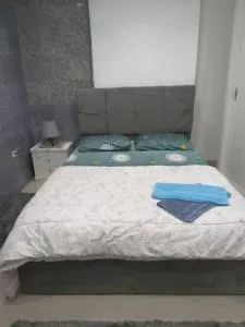 Elegant Stay in Zamalek - 开罗