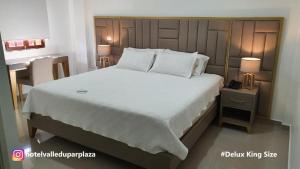 Hotel Valledupar Plaza