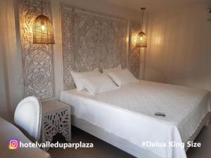 Hotel Valledupar Plaza