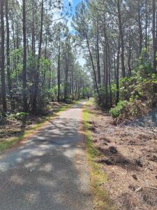 Chalets L'atelier, chalet proche lac et ocean a Hourtin : photos des chambres