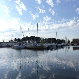 Chalets L'atelier, chalet proche lac et ocean a Hourtin : photos des chambres