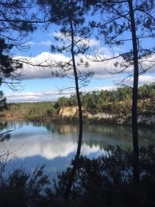 Chalets L'atelier, chalet proche lac et ocean a Hourtin : photos des chambres