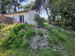 Appartements Studios independants dans grand Domaine en pleine nature : photos des chambres