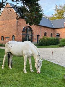Aux Bois Dorés de la Ferme de sorval, animaux de la ferme, fitness