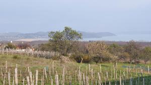 Traditional cottage at Lake Balaton