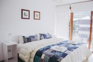 Gente del Sur - Amundsen