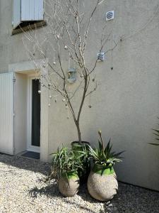 B&B / Chambres d'hotes un petit coin de paradis avec piscine et parking : photos des chambres