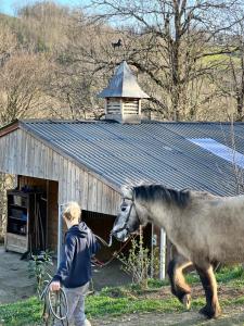 Tentes de luxe Ferme Equestre des Esprits Sauvages : photos des chambres