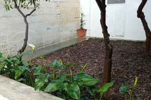 Centrale con giardino segreto