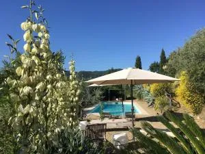 Ventena Vecchia antico frantoio - Montevarchi