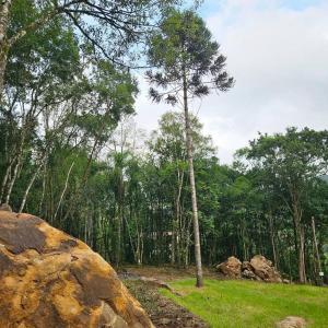 Cabana em GramadoSerra Gaúcha