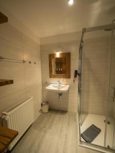 Arche Svea Stockente