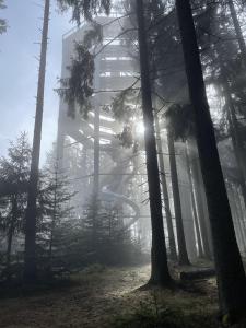 LIPNO Moss Apartment