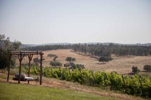 Stunning mansion in São Cristóvão