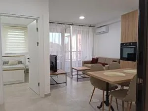 Apartman Spasić 2 - Divici